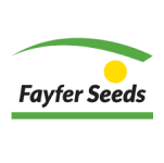 GRUPO FAYFER S.L